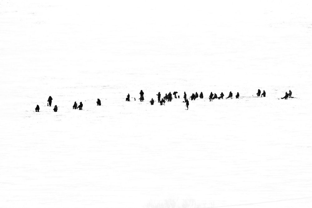 Ловись рыбка большая и большая