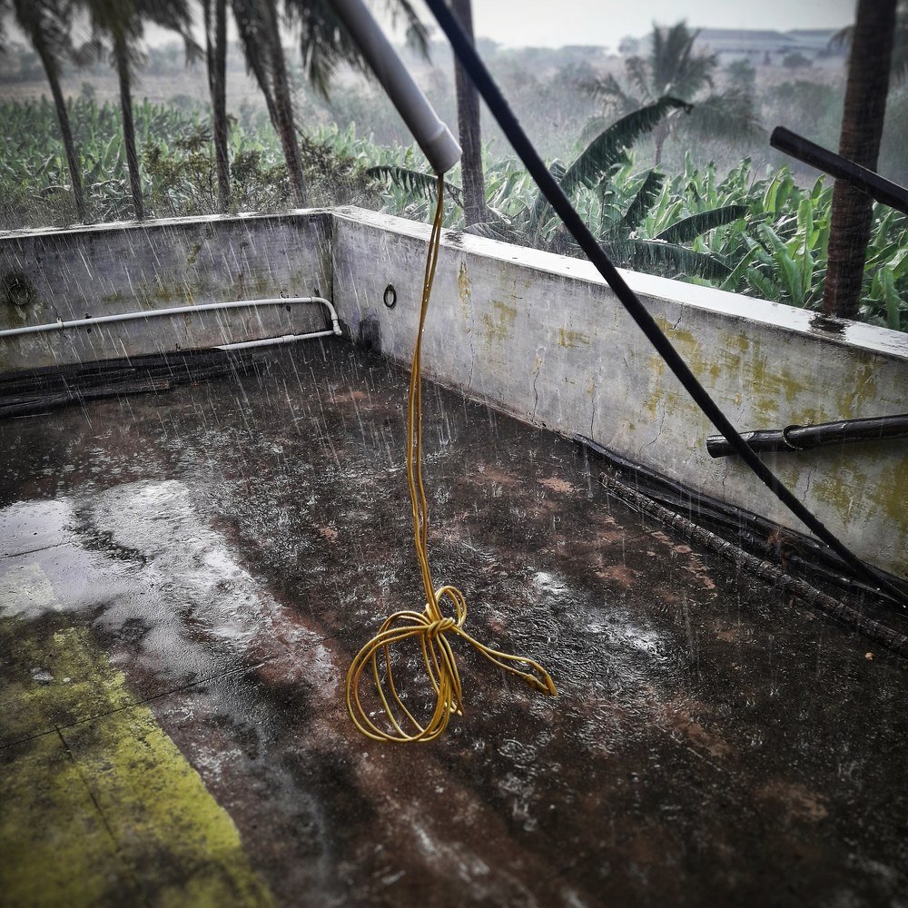 Rainy