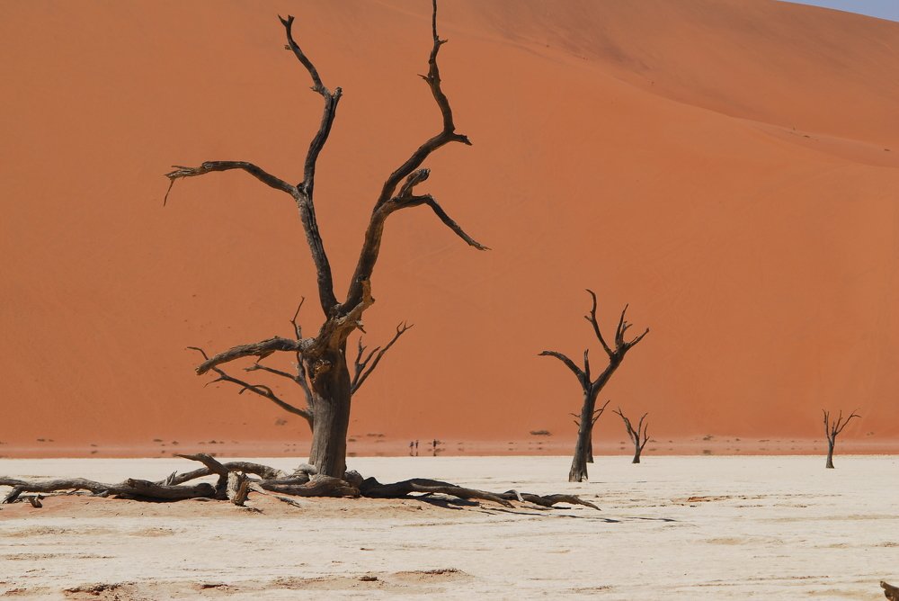 Namib Desert
