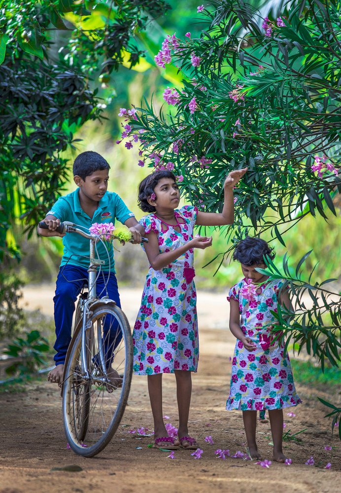 Brothers and Sisters