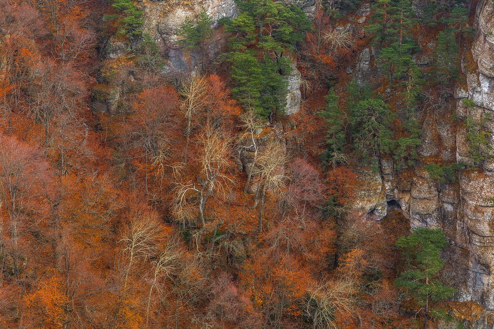 Осень Демерджи