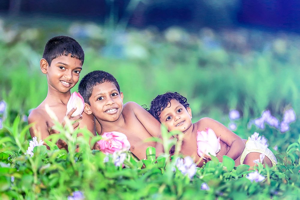 Brothers and Sisters