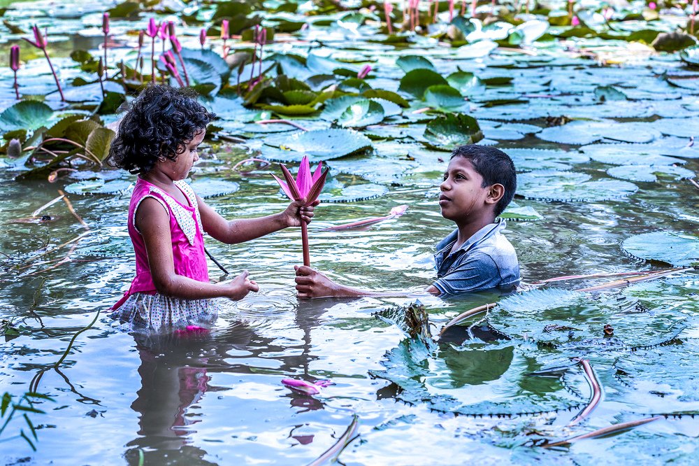 Brothers and Sisters