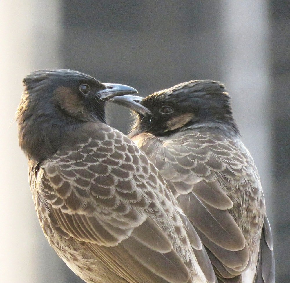 Love & Love