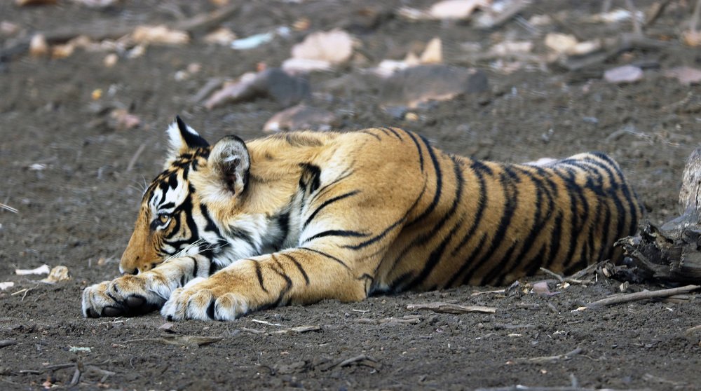 Waiting, waiting and waiting!