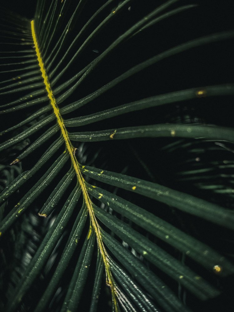 Flowing Greens
