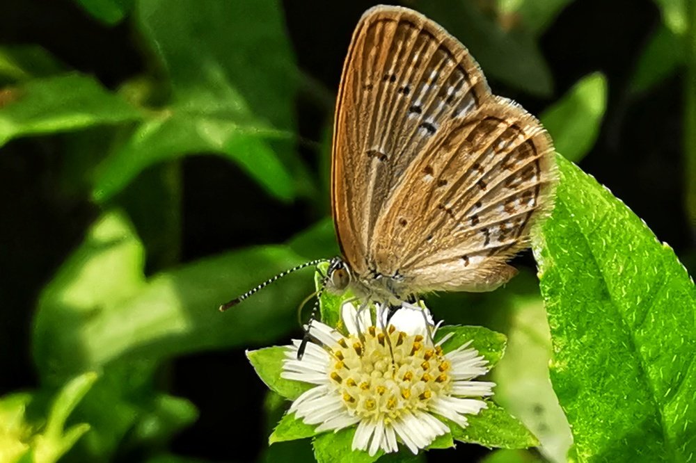 Photograph by Riwayadi Laming