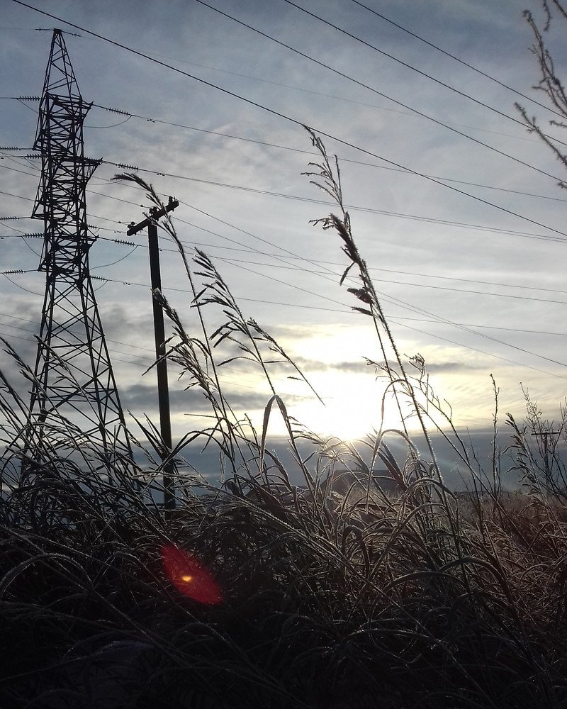 Вечерний ветер