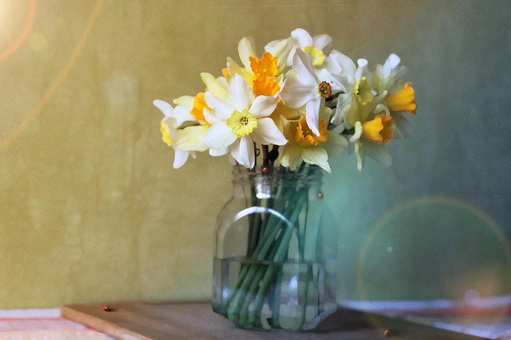 Photograph by Надежда Тарасенко