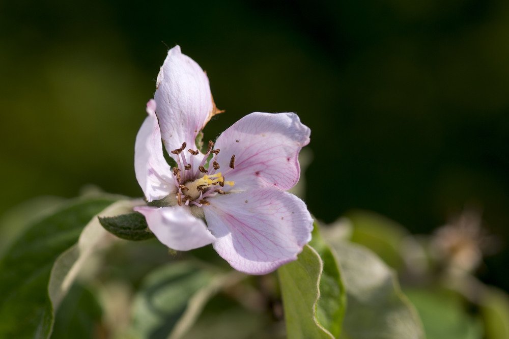 Photograph by Олесь