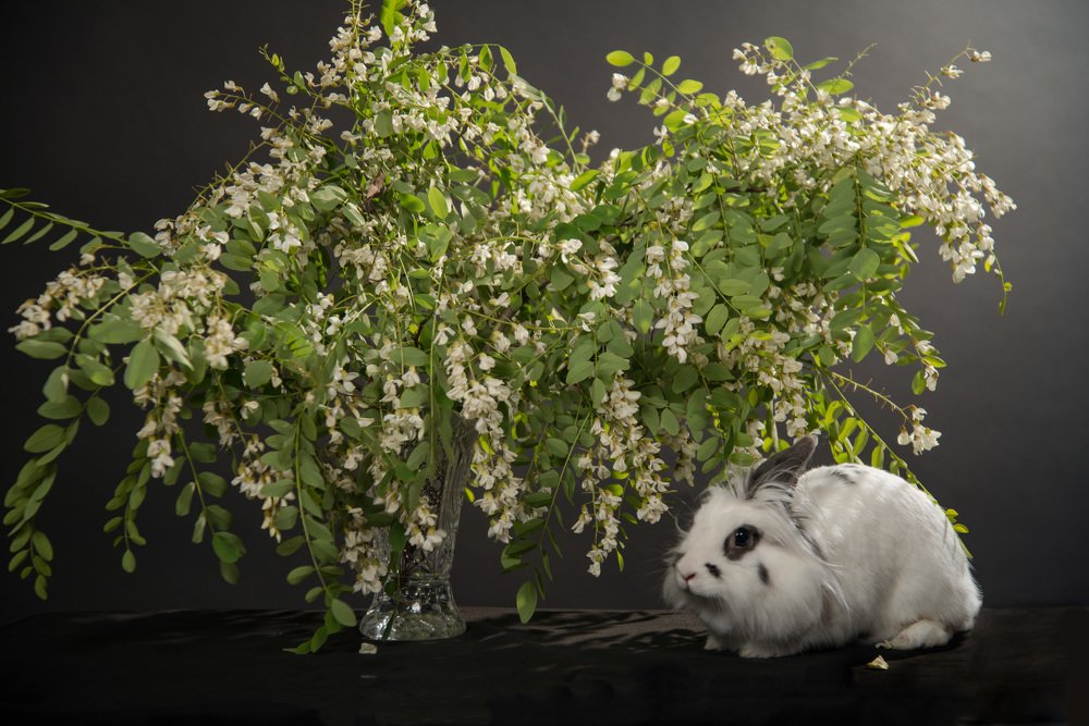 Вот , я какой