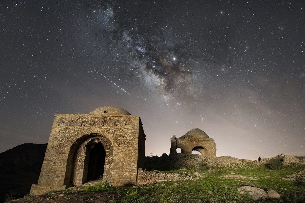 A guest from the skys