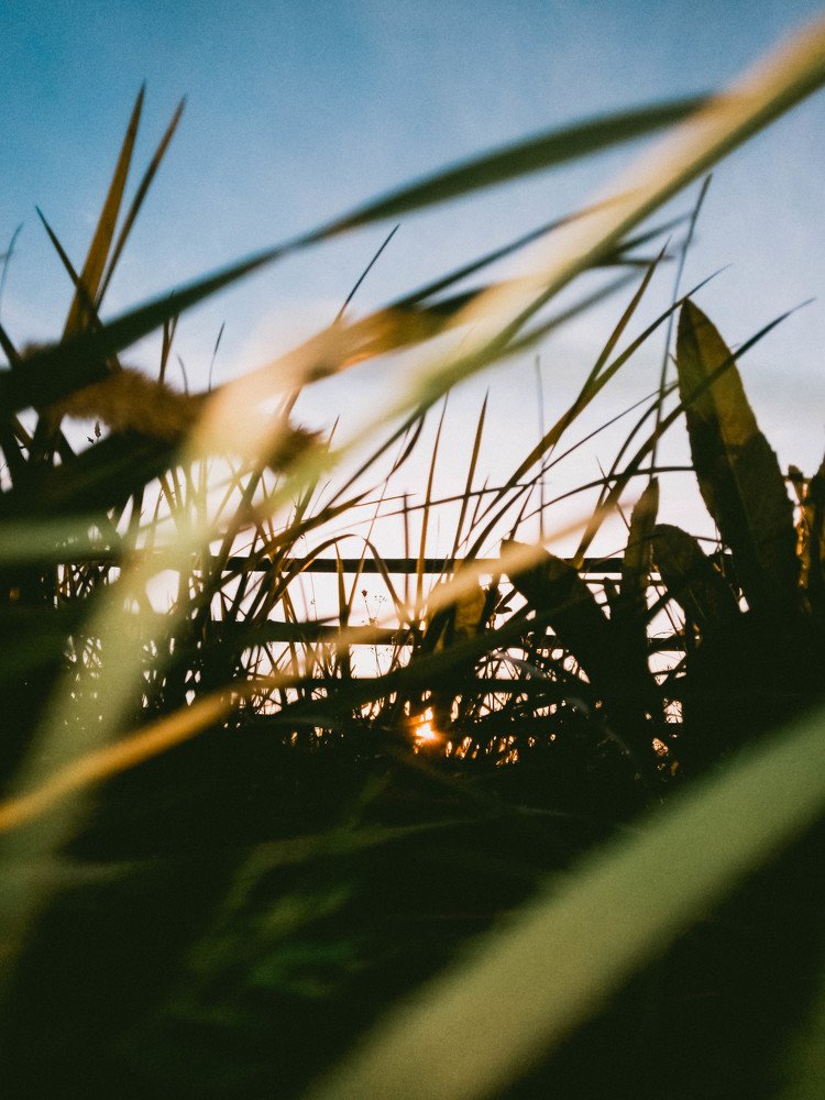 Маленький луч