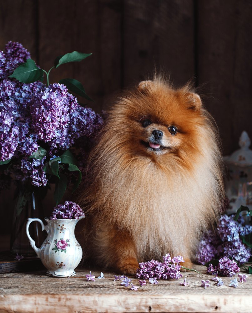 Photograph by Kristina Shavratskaya