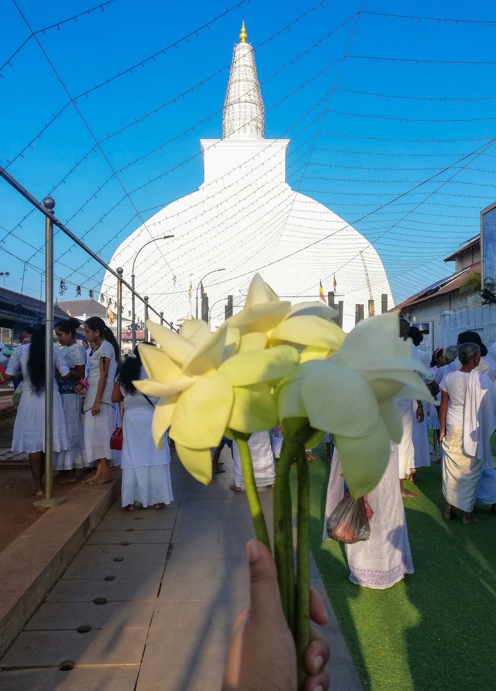 Good Photo on the phone