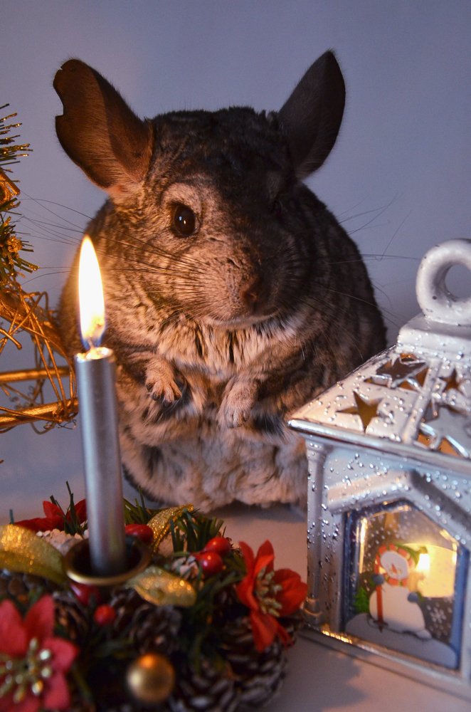 Photograph by Алиса Русскова