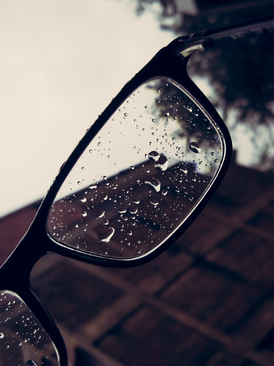 Rain