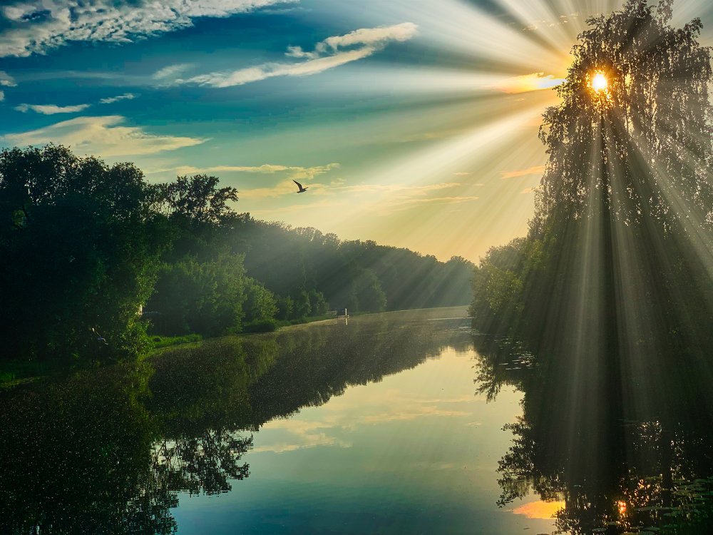 Лучи уходящей весны