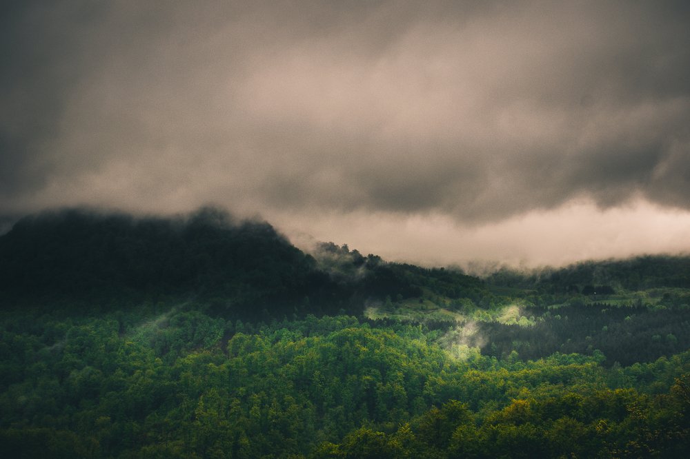 Sun breaking through the fog