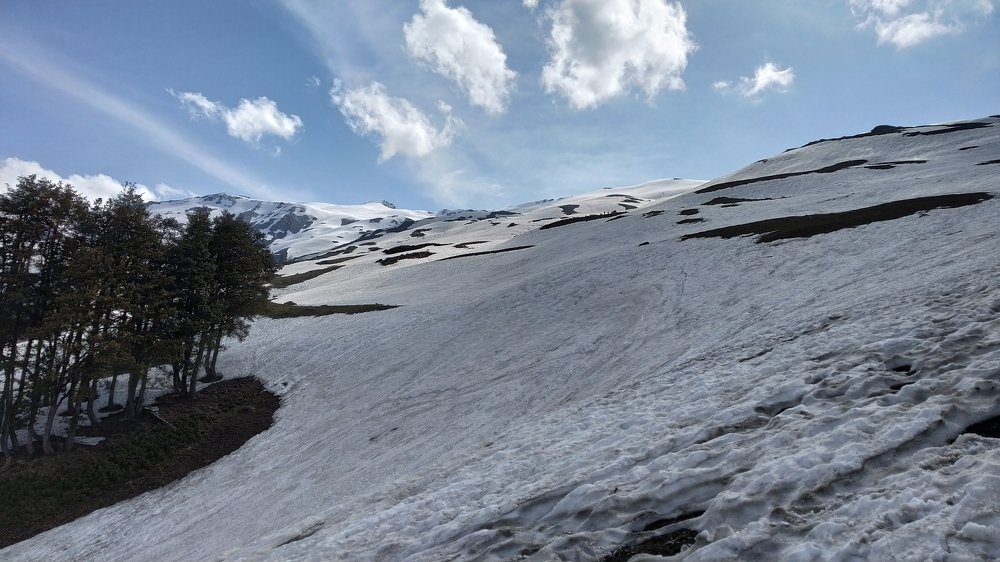 Snow Trek