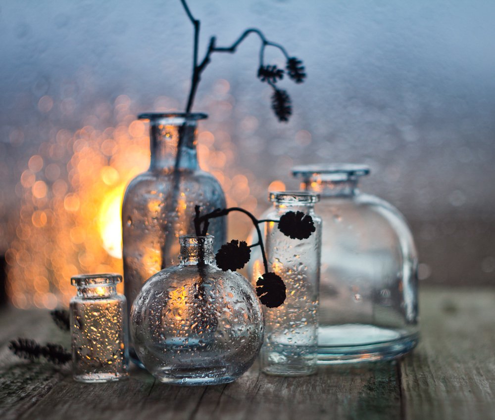 Ольховый натюрморт