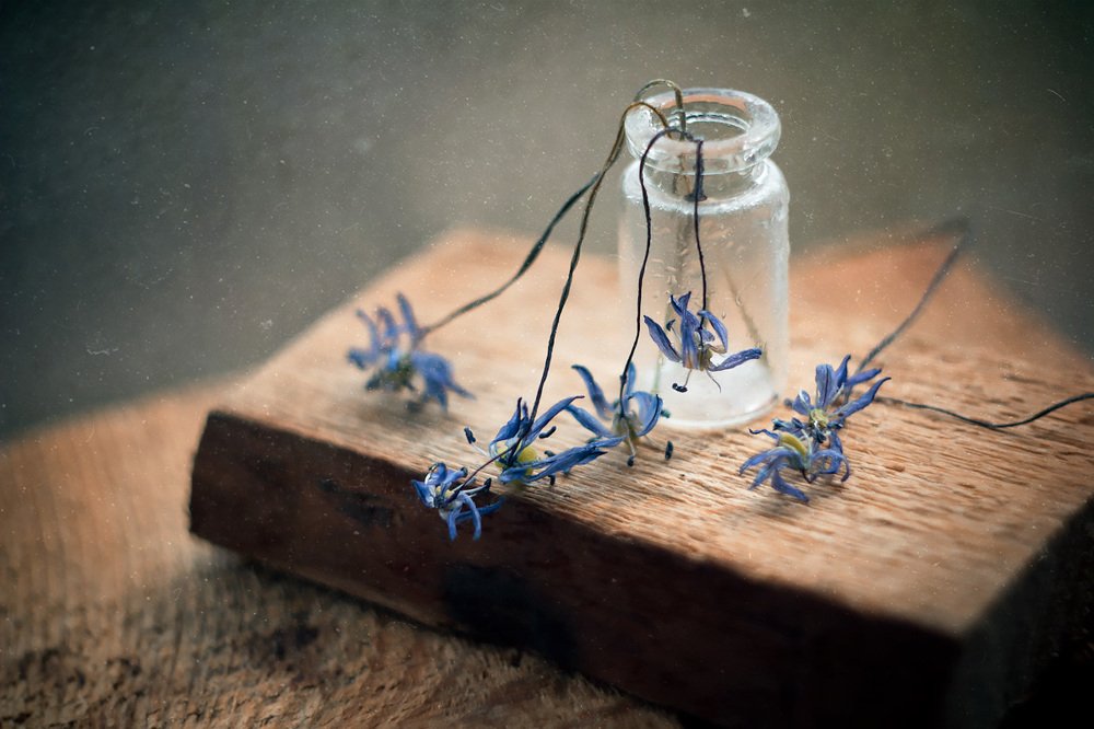 Грустные цветы