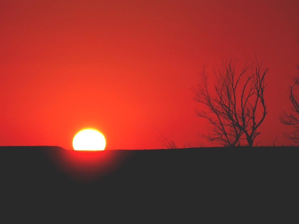 Закат в пустыне Кызылкум. Узбекистан