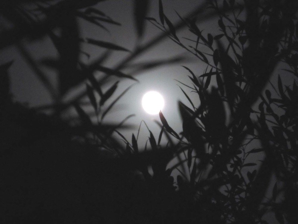 В лунном сиянии. Узбекистан