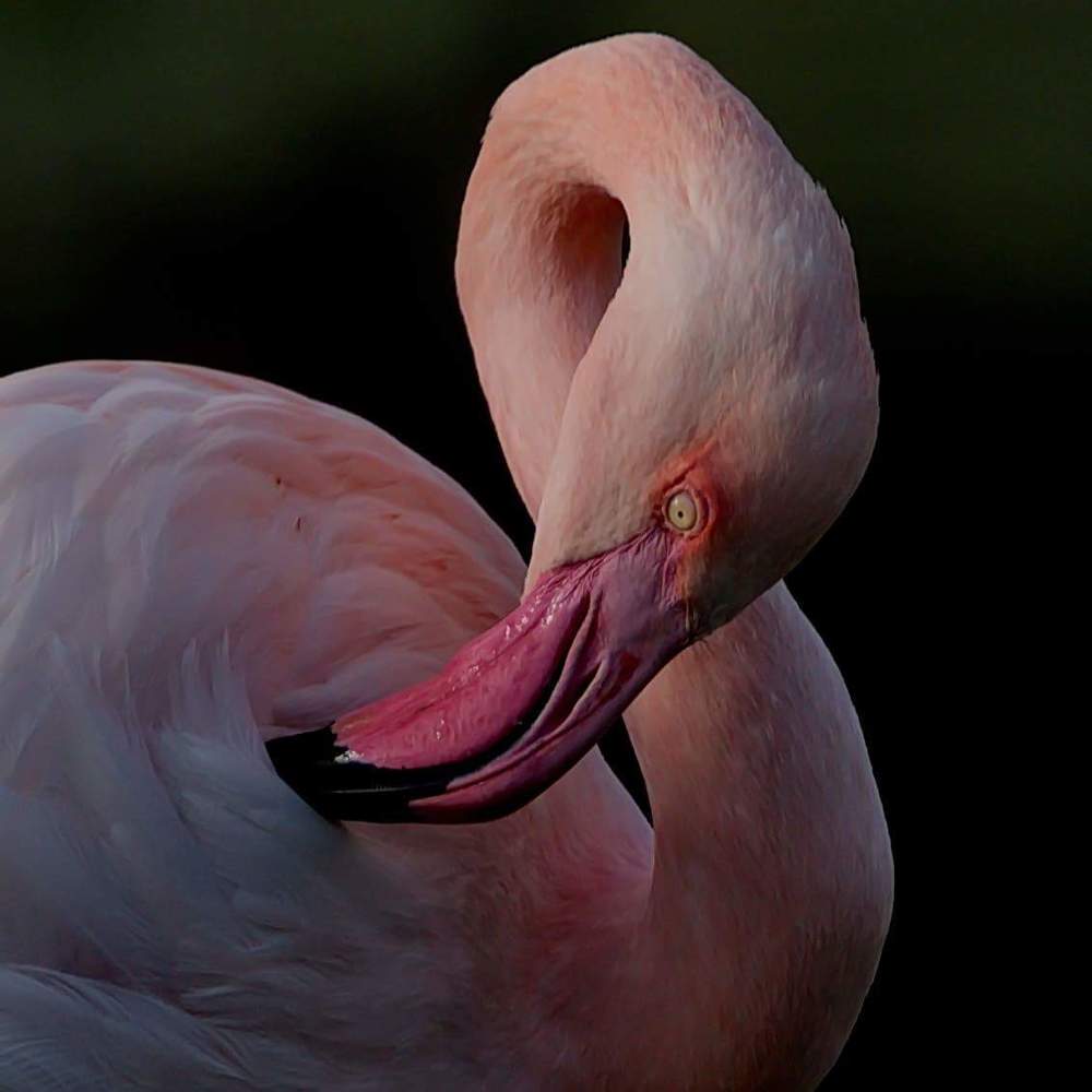 Photograph by Lev Prilutsky