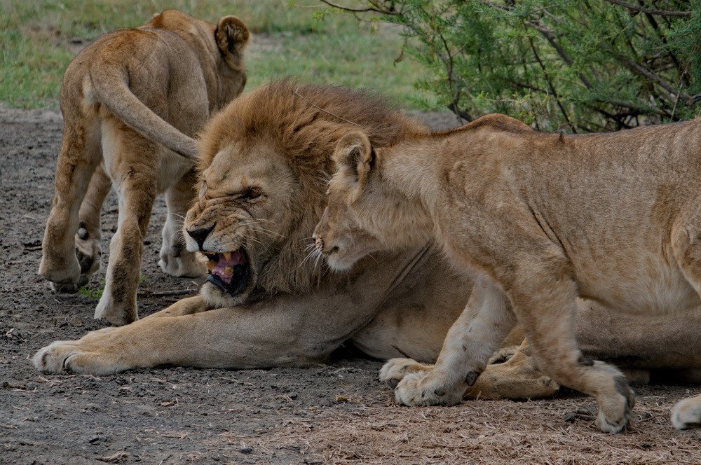 Photograph by Lev Prilutsky