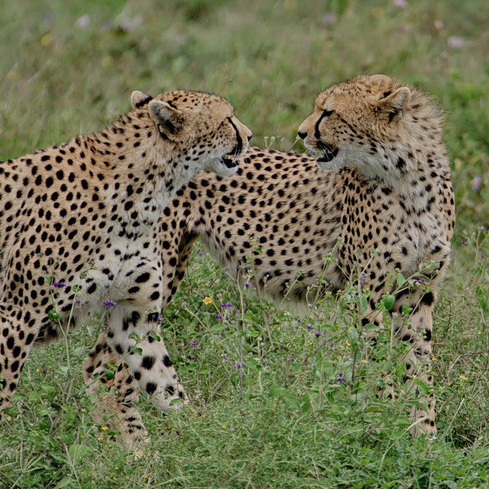 Photograph by Lev Prilutsky