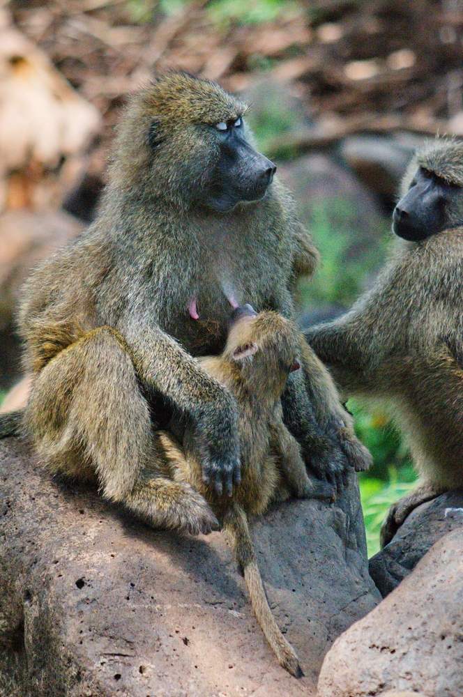 Photograph by Lev Prilutsky