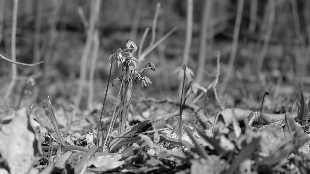 Photograph by Анна Панкратова