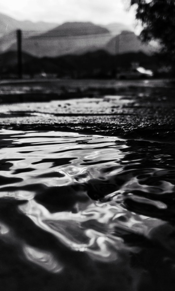 Photograph by Abhitha Mohan