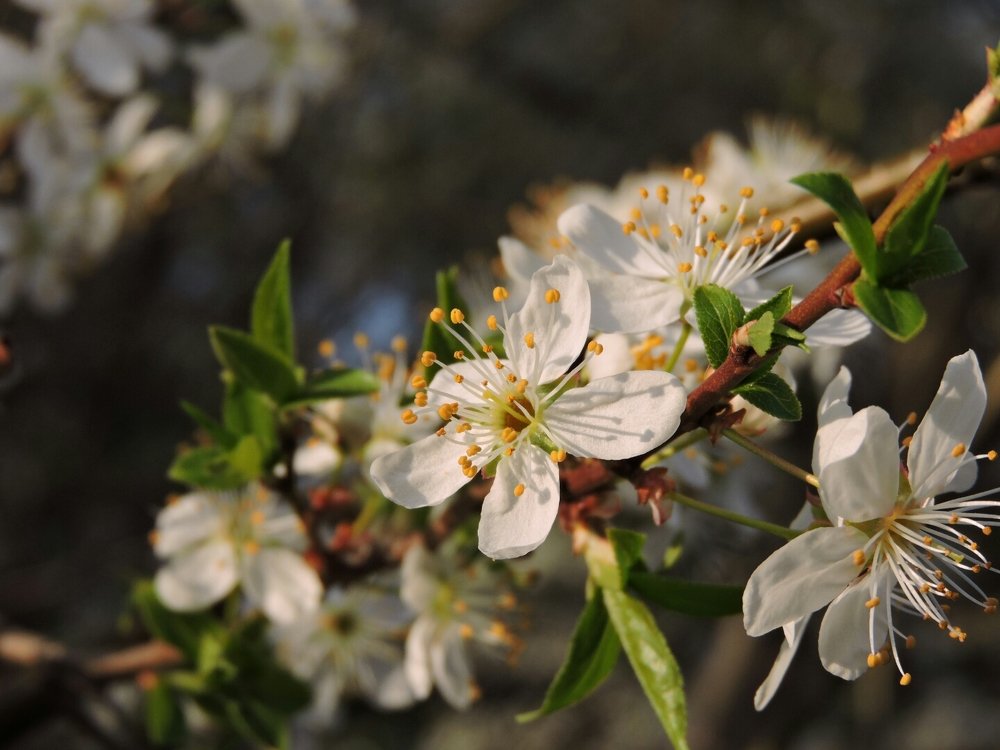 Photograph by Анна Панкратова