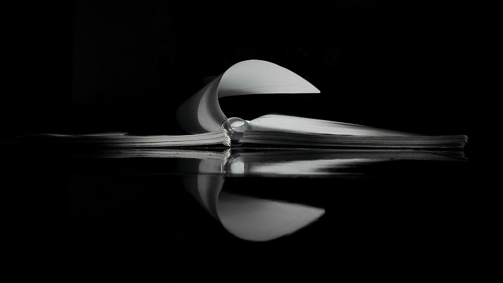 Photograph by Abhitha Mohan