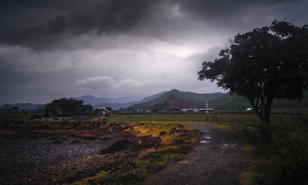 "landscape of Sekta"