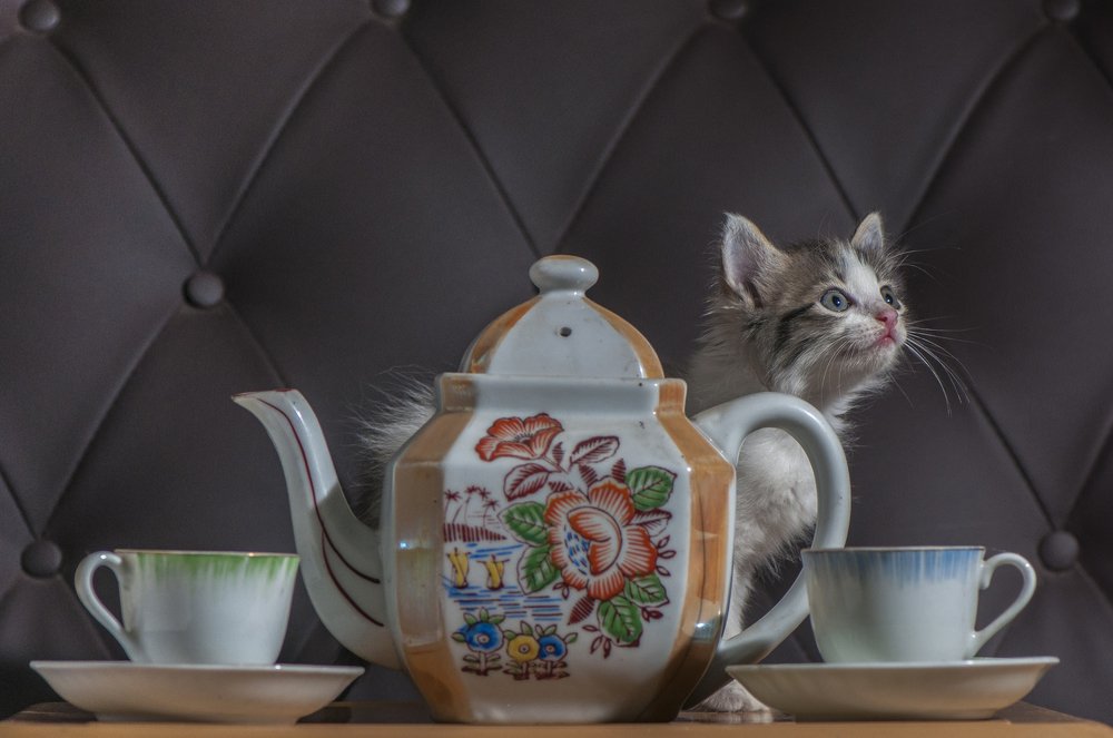 Balancing the Curves