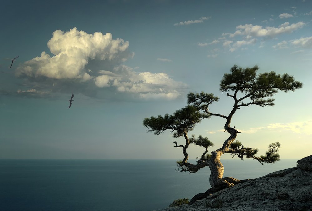 Разговор с облаком