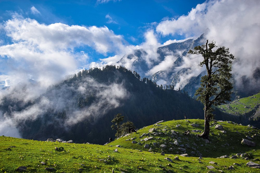 The Hills Of Snowline