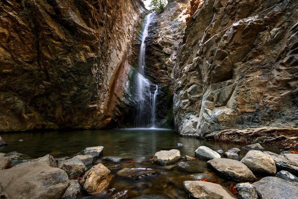 Просто фото