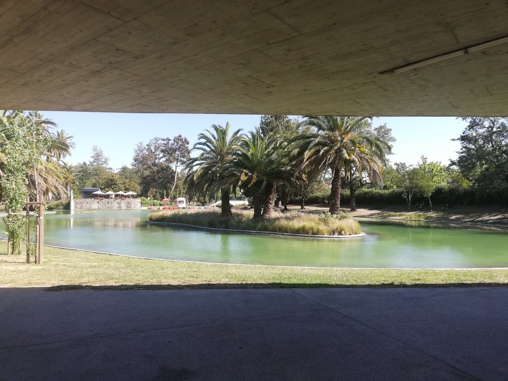 The city garden