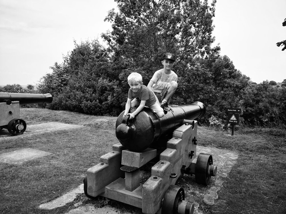 The Playful Brothers