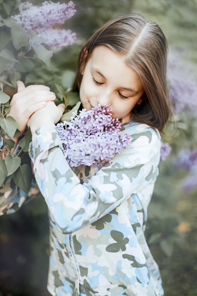 Полиновая сирень