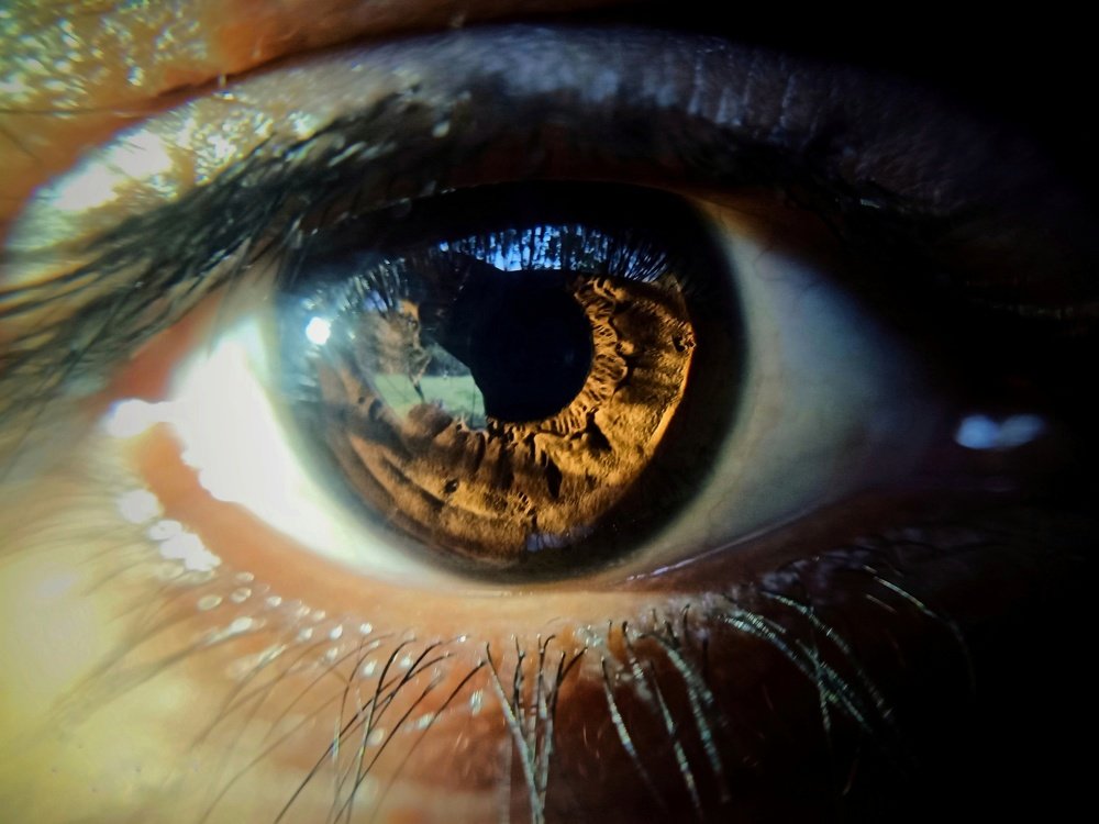 Eyes a way to look life