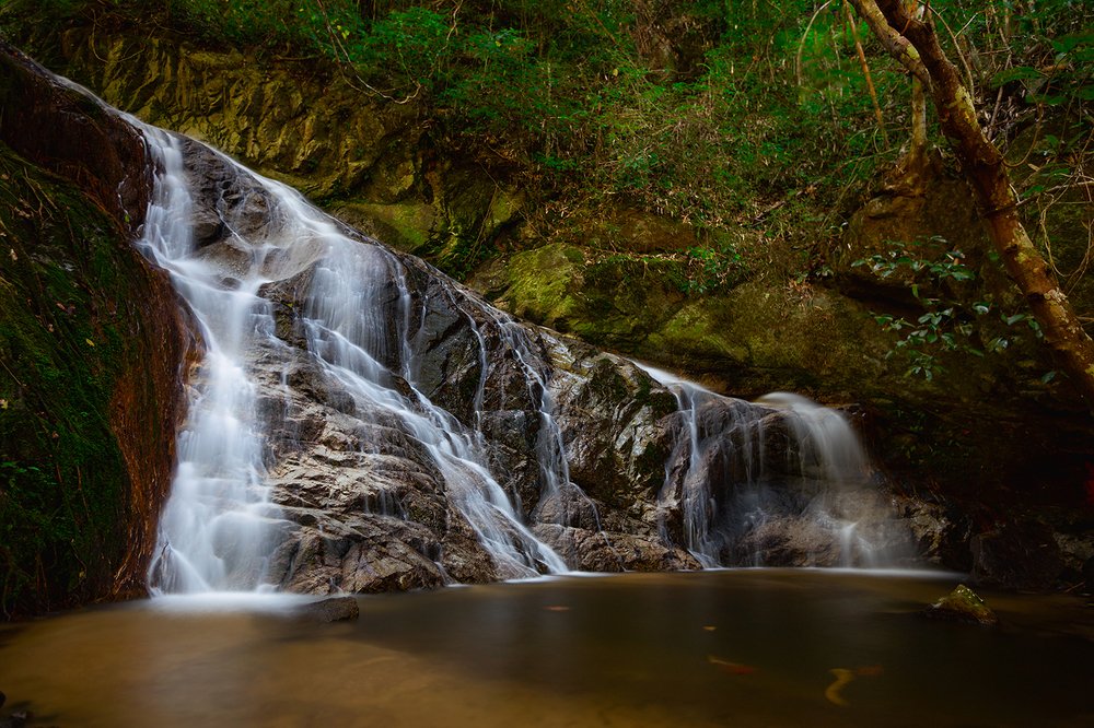 Beautiful waterfall in green rainforest