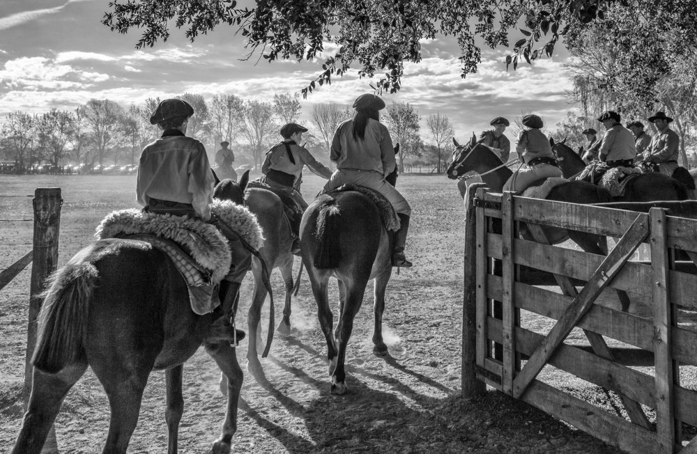 Modern Gauchos