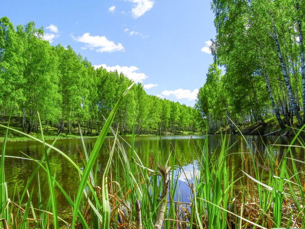 Photograph by Григорий Сергеевич