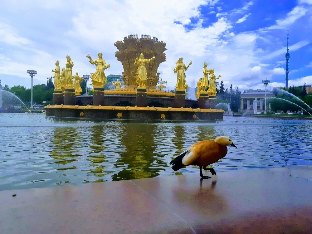 Весной на ВДНХ