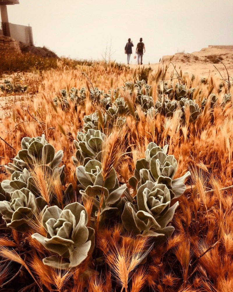 Photograph by Farida Bagirova